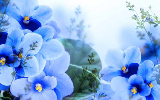 869432 (a): :2880x1800